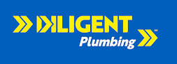 Diligent Plumbing