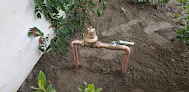 Desert Rooter Plumbing & Leak Detection