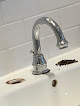 Watermark Plumbing Services Inc.